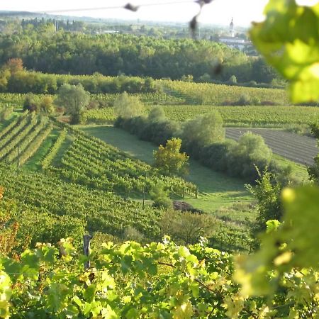 Capriva Del Friuli - Casa Roncus Villa ภายนอก รูปภาพ